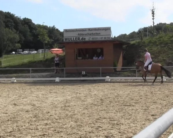 Reitturnier Bühren-Breckerfeld 2016