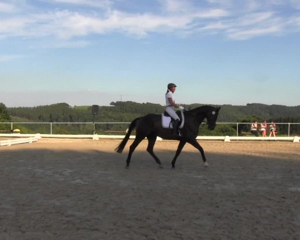 Reitturnier Bühren-Breckerfeld 2016