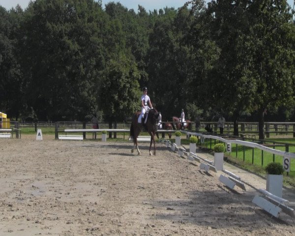 Reitturnier Recklinghausen 2016