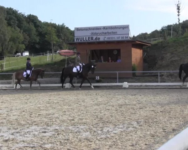 Reitturnier Bühren-Breckerfeld 2016