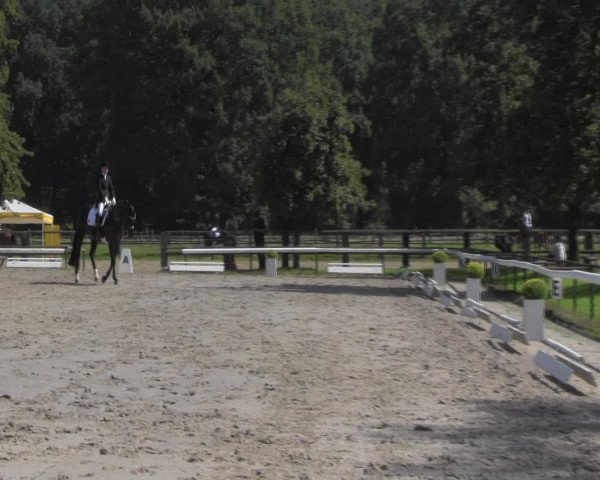 Reitturnier Recklinghausen 2016