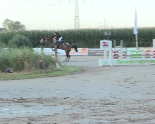 Reitturnier Recklinghausen 2016