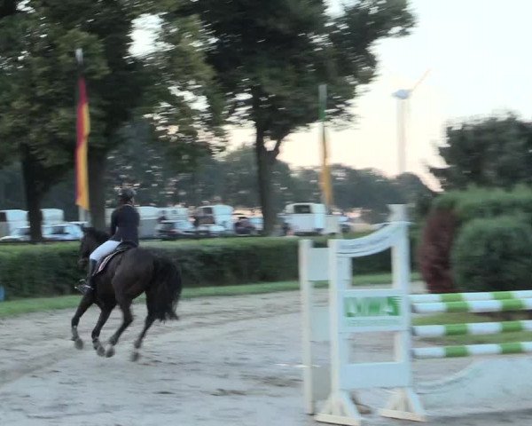 Reitturnier Recklinghausen 2016