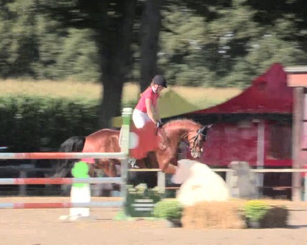 Reitturnier Recklinghausen 2016