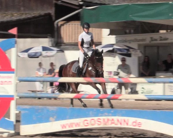 Reitturnier Recklinghausen 2016