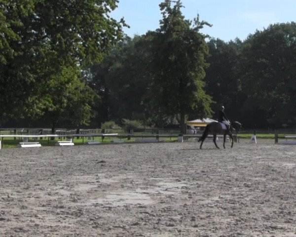 Reitturnier Recklinghausen 2016