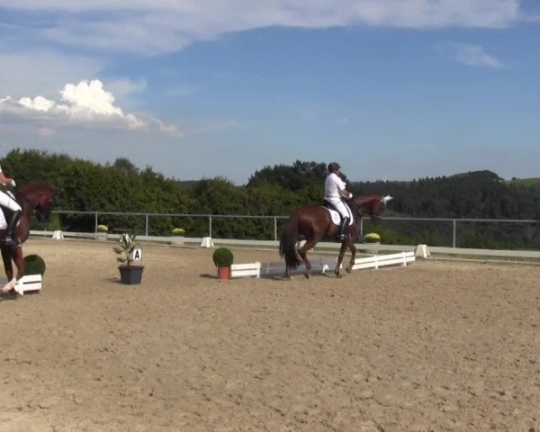 Reitturnier Bühren-Breckerfeld 2016