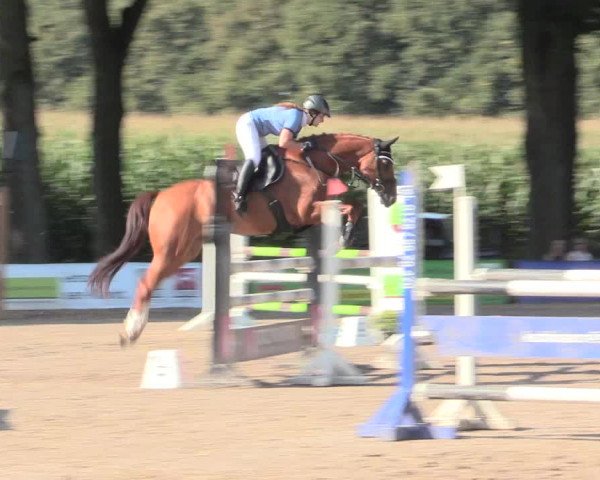 Reitturnier Recklinghausen 2016
