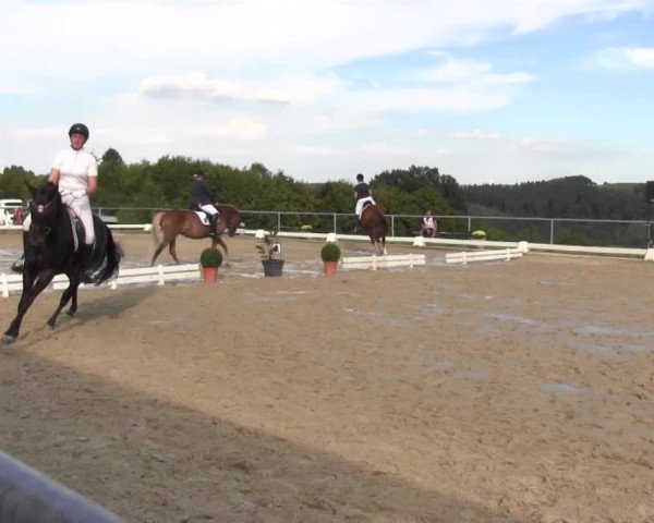 Reitturnier Bühren-Breckerfeld 2016