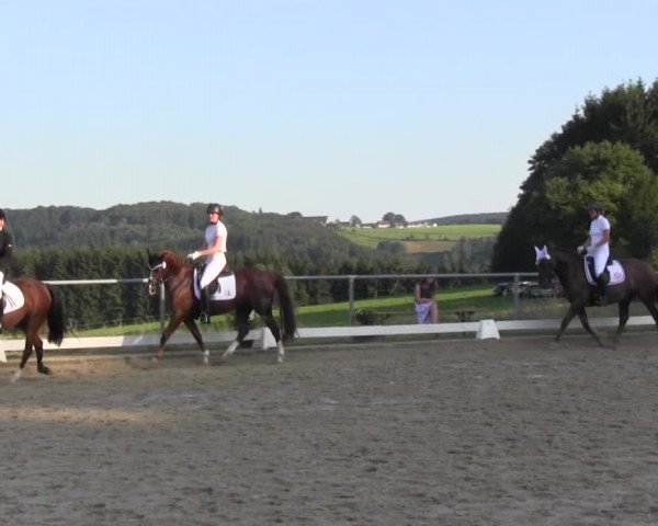 Reitturnier Bühren-Breckerfeld 2016