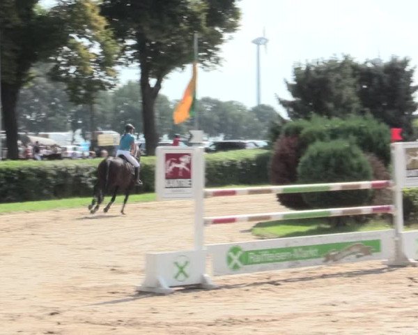 Reitturnier Recklinghausen 2016