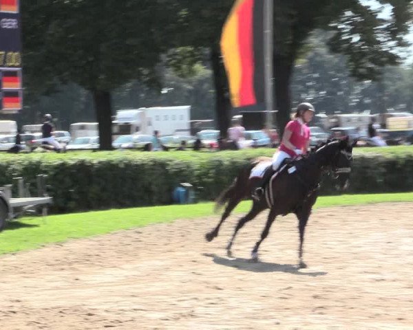 Reitturnier Recklinghausen 2016