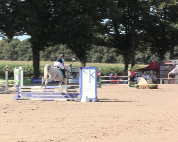 Reitturnier Recklinghausen 2016