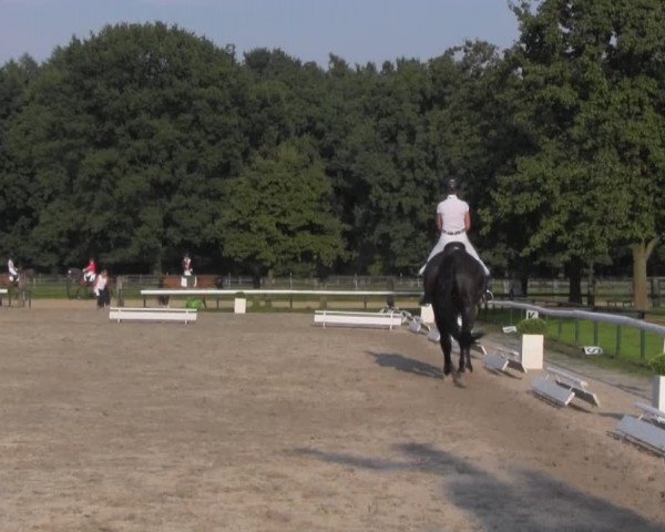 Reitturnier Recklinghausen 2016