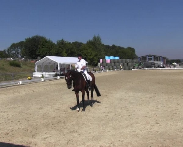 Reitturnier Bühren-Breckerfeld 2016