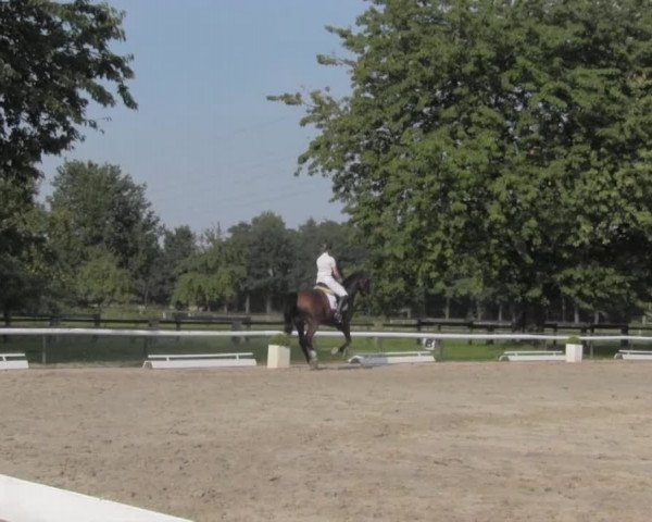 Reitturnier Recklinghausen 2016