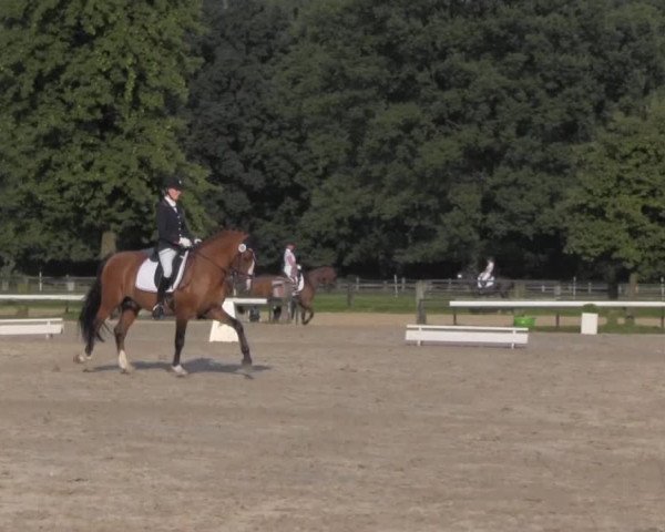 Reitturnier Recklinghausen 2016