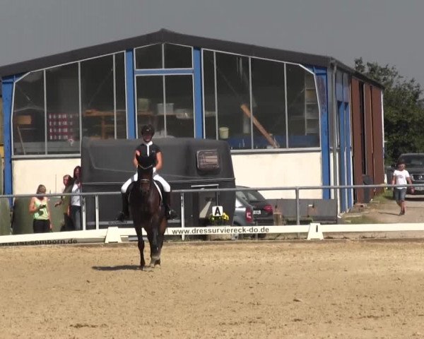 Reitturnier Bühren-Breckerfeld 2016