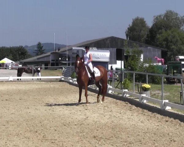 Reitturnier Bühren-Breckerfeld 2016