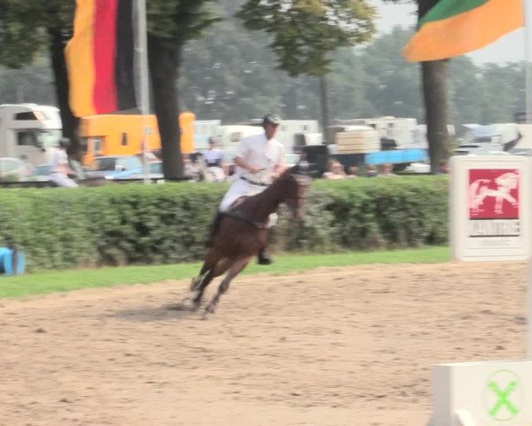 Reitturnier Recklinghausen 2016
