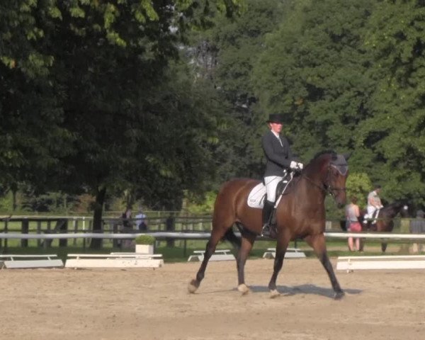 Reitturnier Recklinghausen 2016