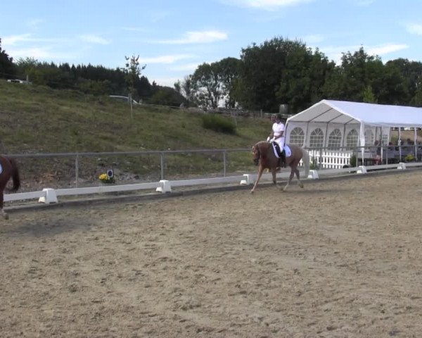 Reitturnier Bühren-Breckerfeld 2016
