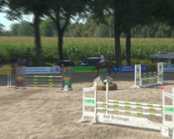 Reitturnier Recklinghausen 2016