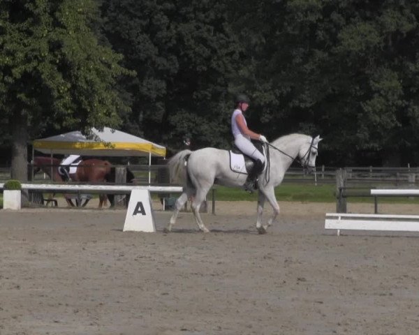 Reitturnier Recklinghausen 2016