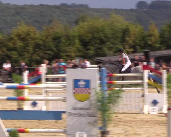 Reitturnier Bühren-Breckerfeld 2016