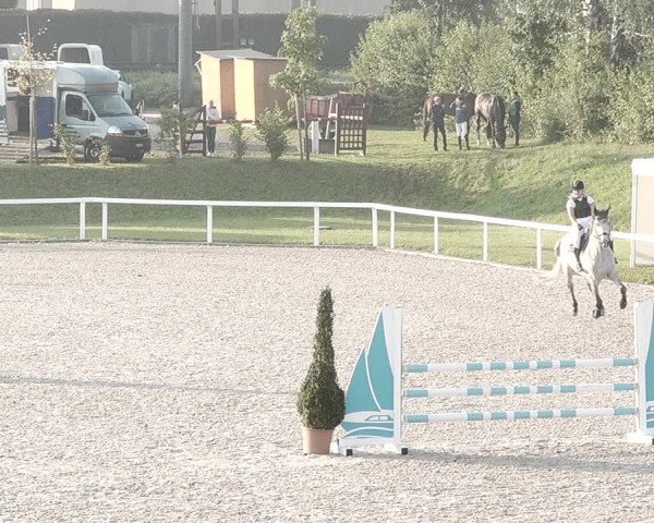 Pferdesporttage Bülach 2021