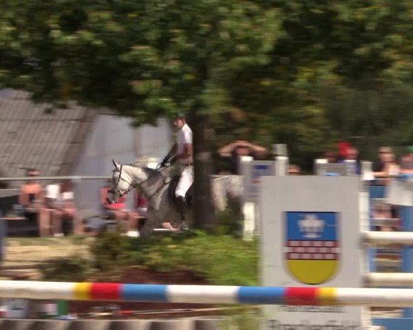 Reitturnier Bühren-Breckerfeld 2016