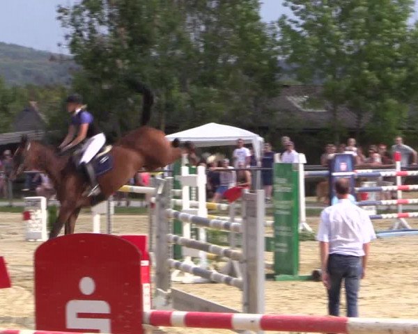 Reitturnier Bühren-Breckerfeld 2016