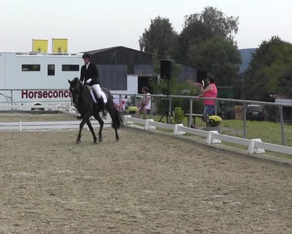 Reitturnier Bühren-Breckerfeld 2016