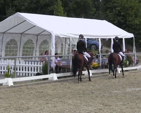 Reitturnier Bühren-Breckerfeld 2016