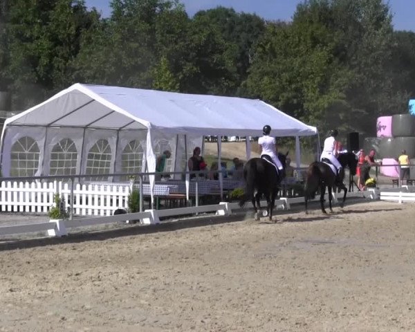 Reitturnier Bühren-Breckerfeld 2016