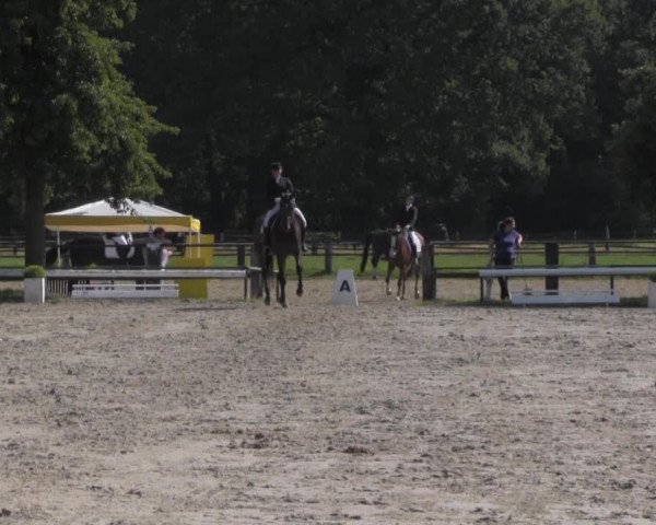 Reitturnier Recklinghausen 2016
