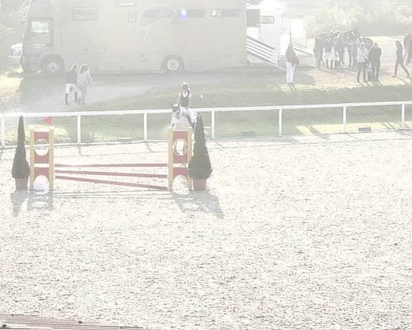 Pferdesporttage Bülach 2021