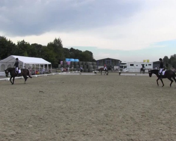 Reitturnier Bühren-Breckerfeld 2016