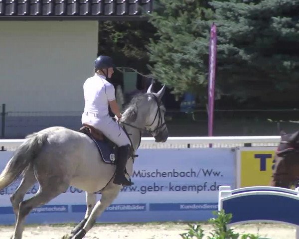 Summermeeting der Springreiter Hachenburg 2016