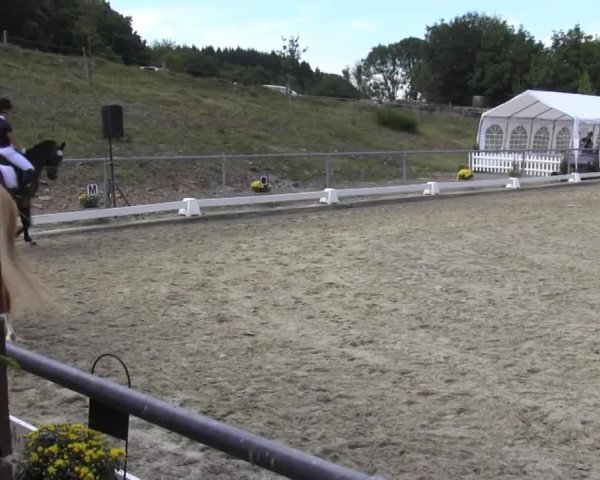 Reitturnier Bühren-Breckerfeld 2016