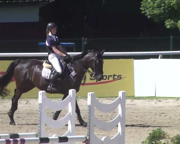 Summermeeting der Springreiter Hachenburg 2016