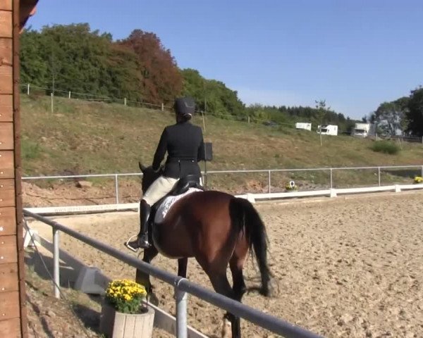 Reitturnier Bühren-Breckerfeld 2016
