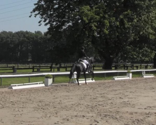 Reitturnier Recklinghausen 2016