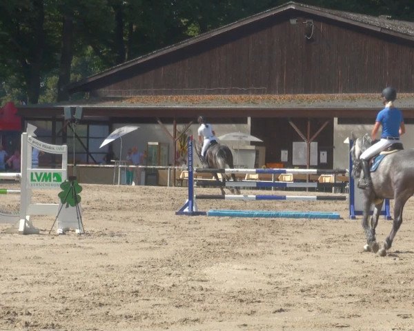 Reitturnier Recklinghausen 2016