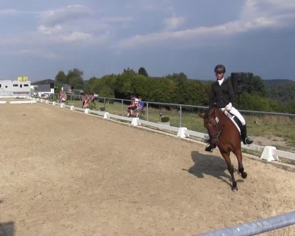 Reitturnier Bühren-Breckerfeld 2016