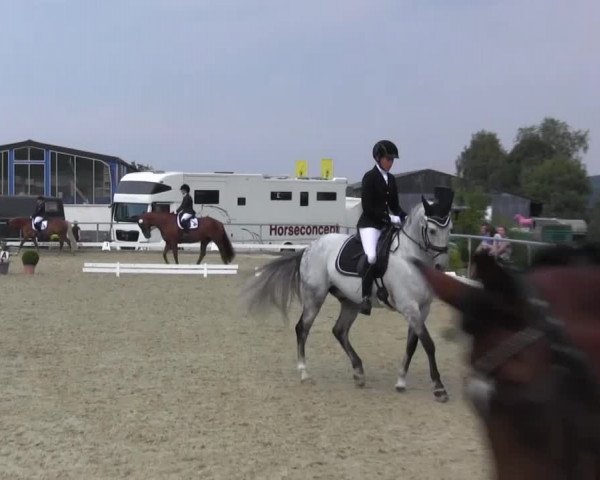 Reitturnier Bühren-Breckerfeld 2016