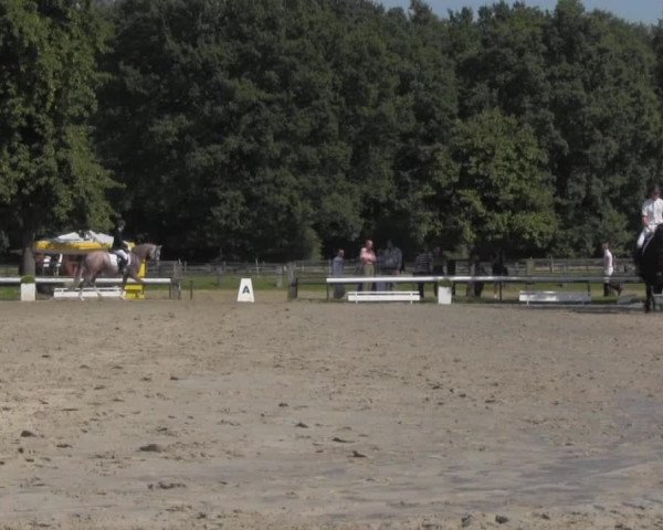 Reitturnier Recklinghausen 2016