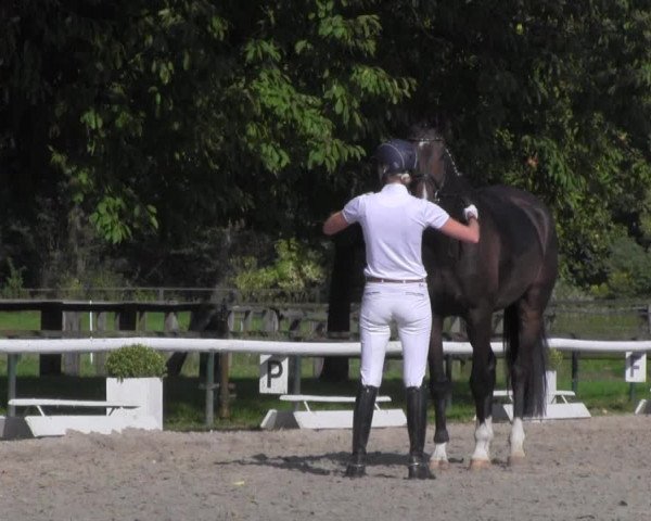 Reitturnier Recklinghausen 2016