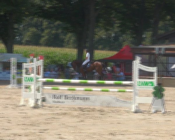 Reitturnier Recklinghausen 2016