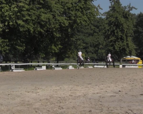 Reitturnier Recklinghausen 2016